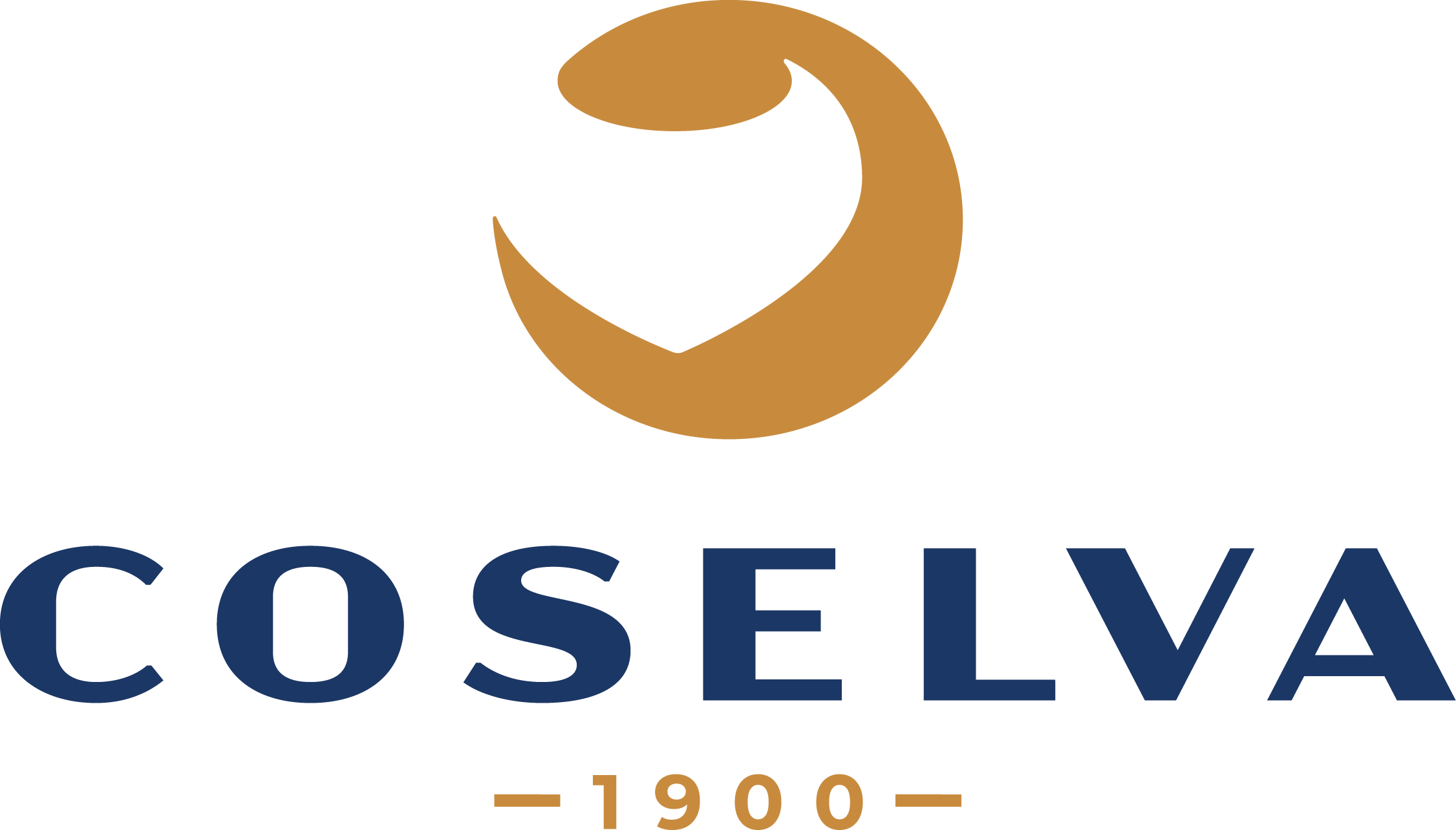 Logo de Coselva